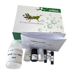 纤维素含量(CLL)测试盒/分光光度法主图